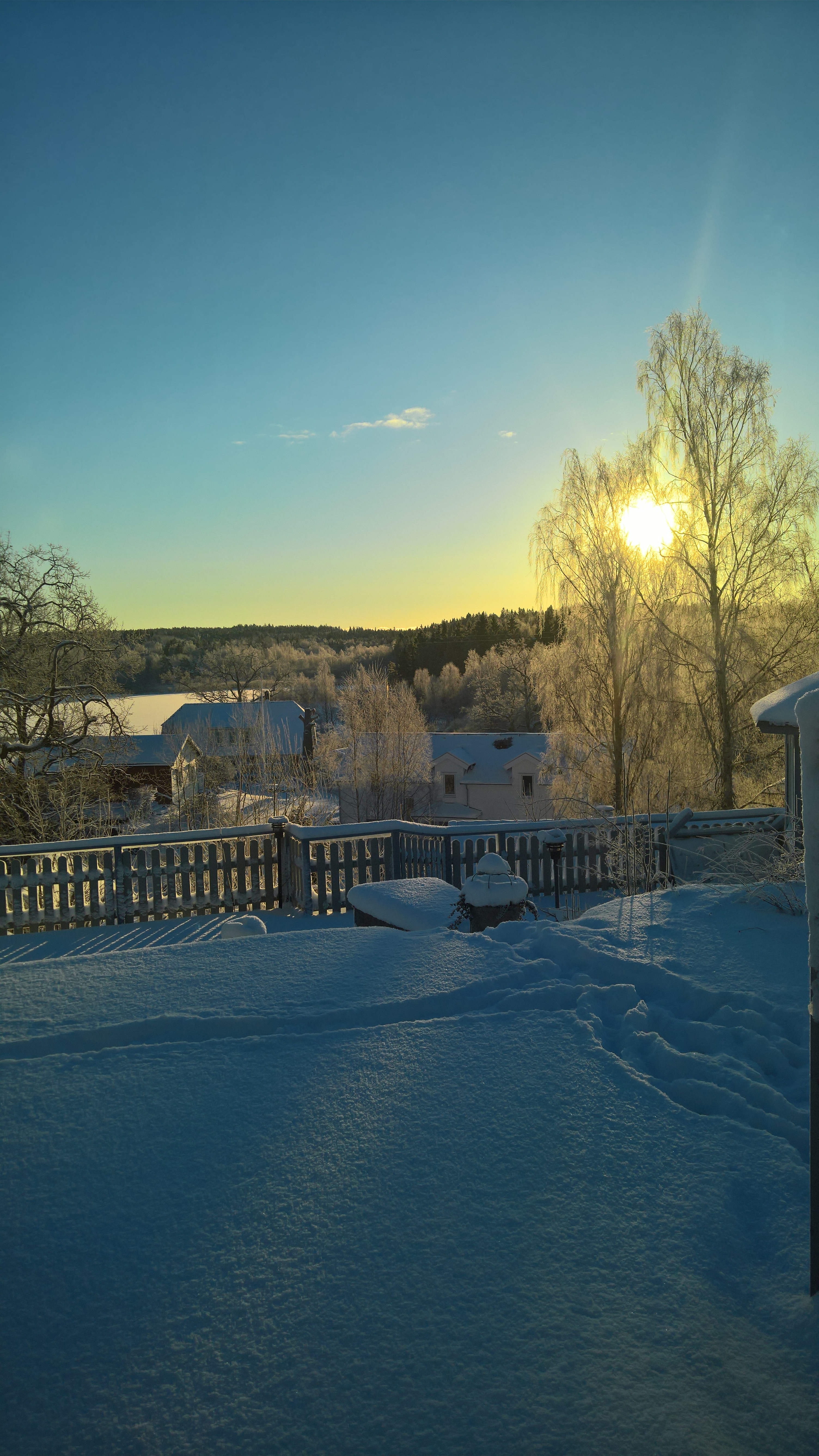 Trehörningen vinterdag
